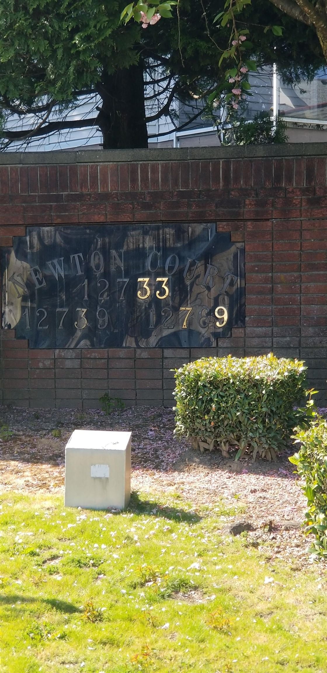 Listing Image 32