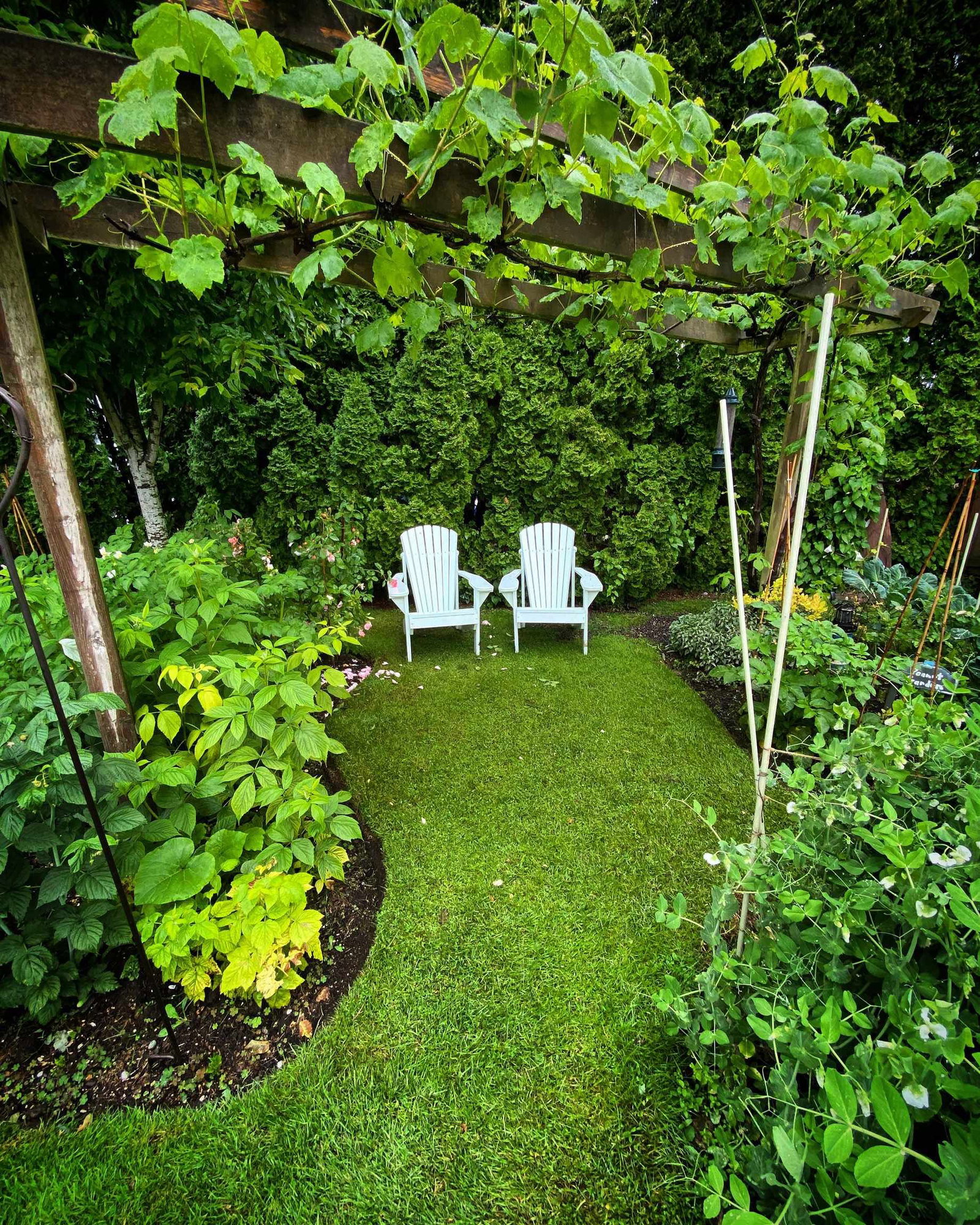Listing Image 35