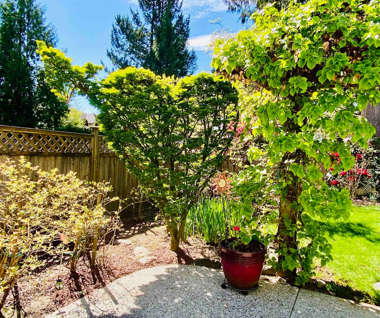 Listing Image 35