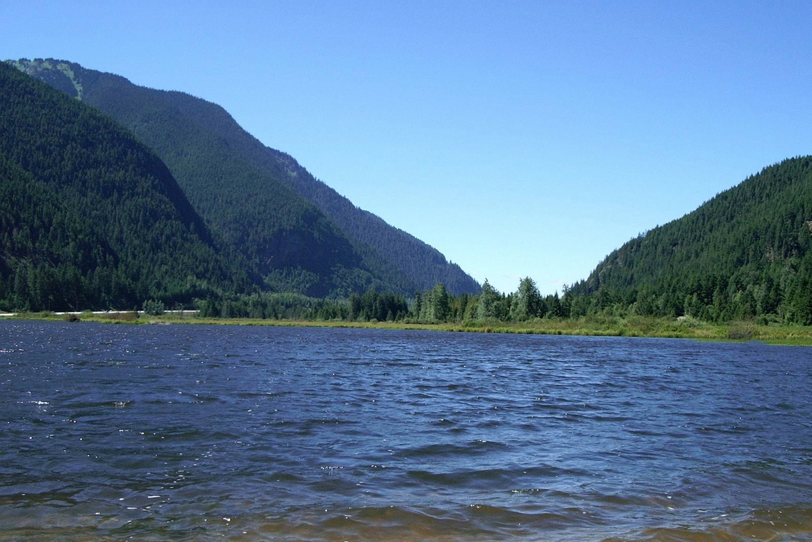 Listing Image 31