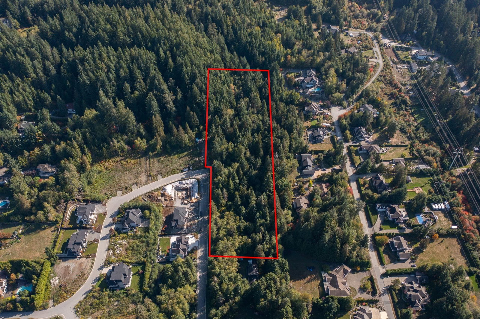 Listing Image 20