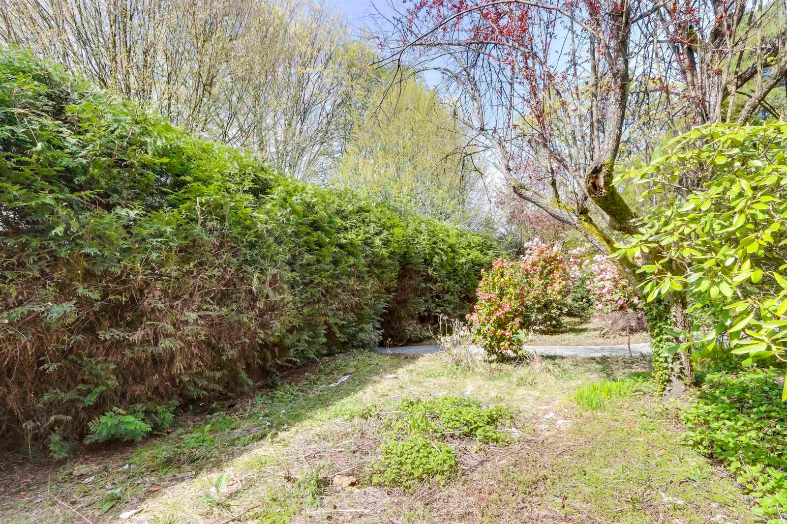 Listing Image 28