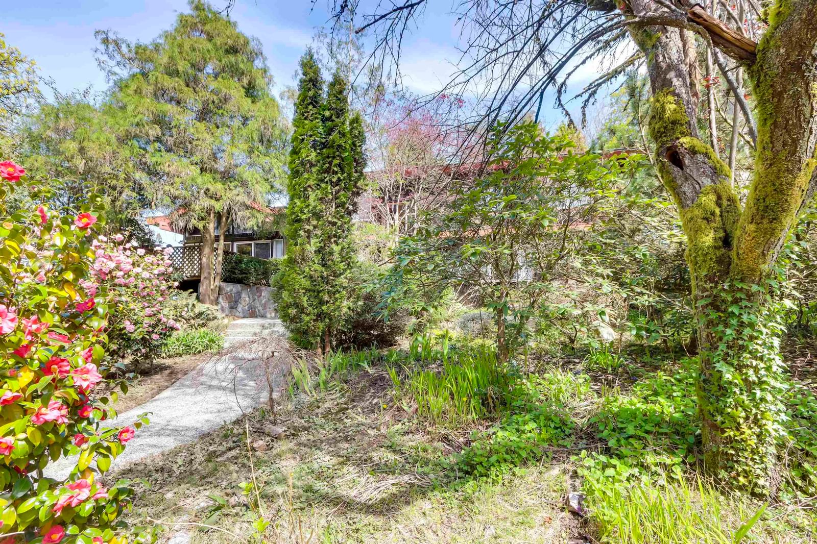 Listing photo 5