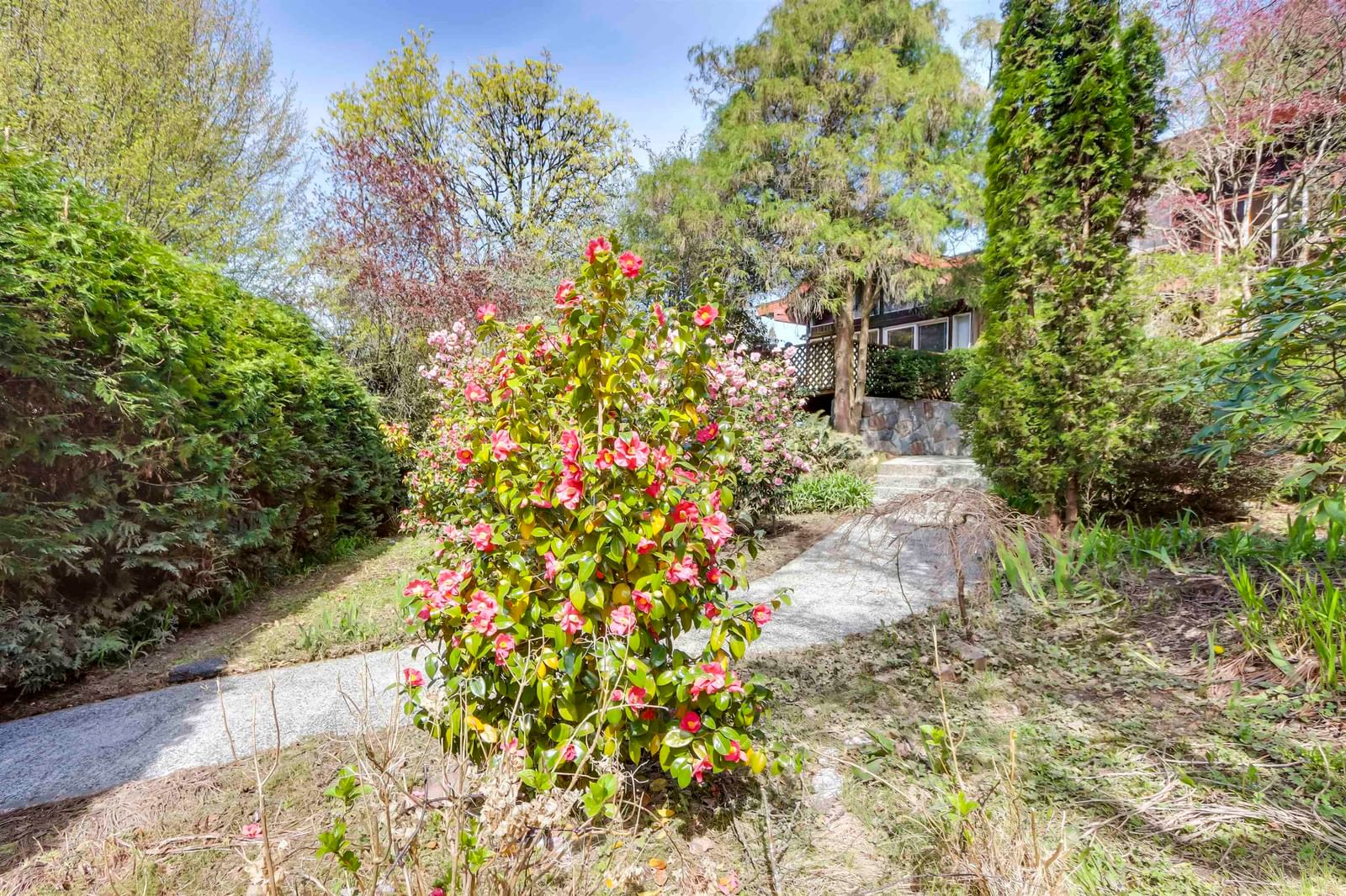Listing Image 6