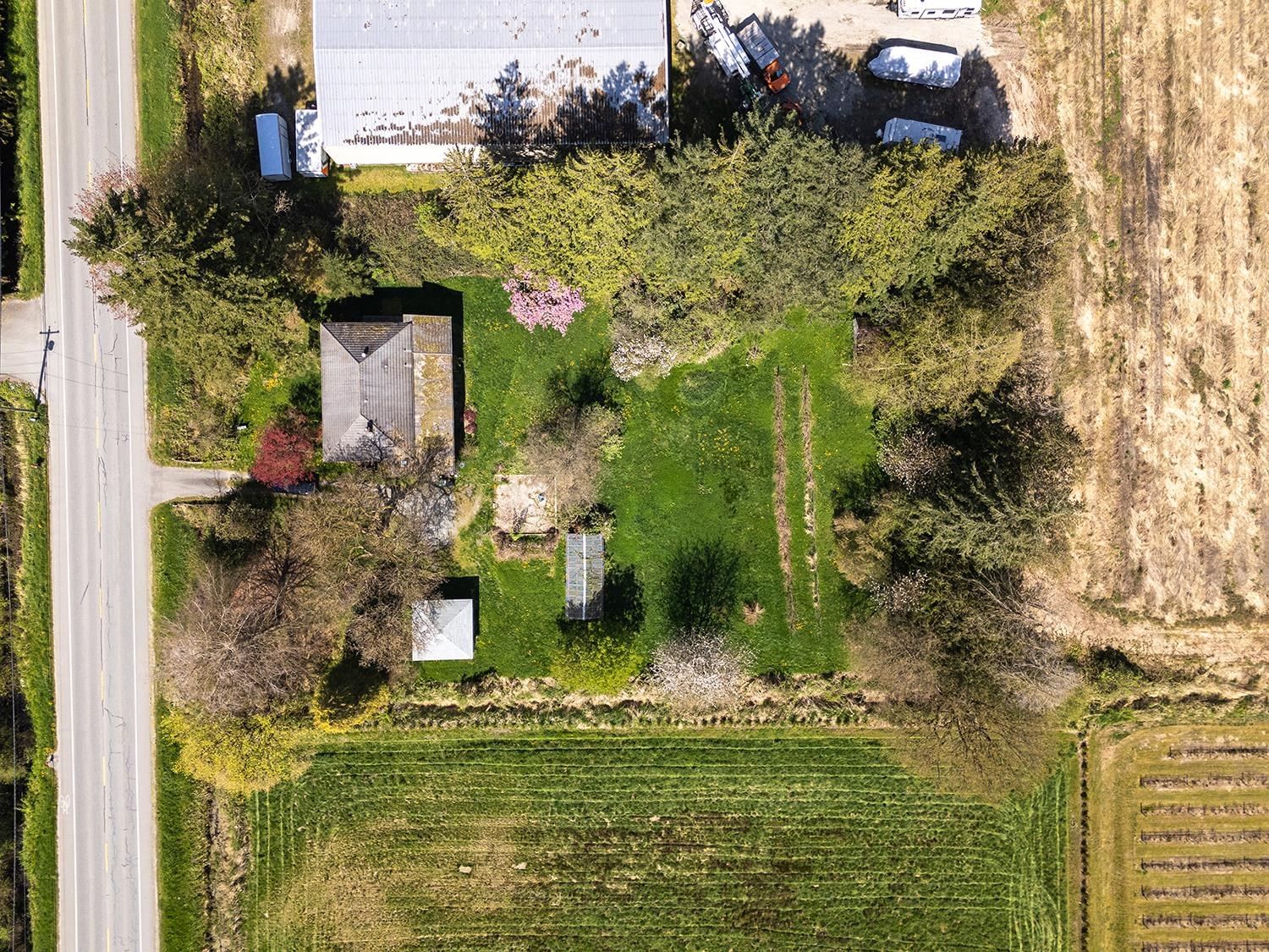 Listing Image 11
