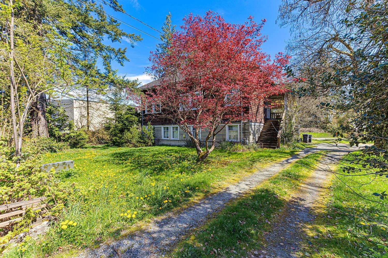 Listing Image 13