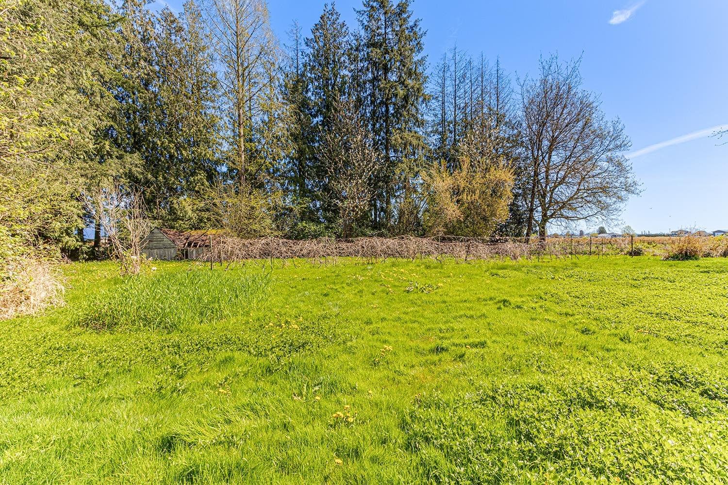 Listing Image 24