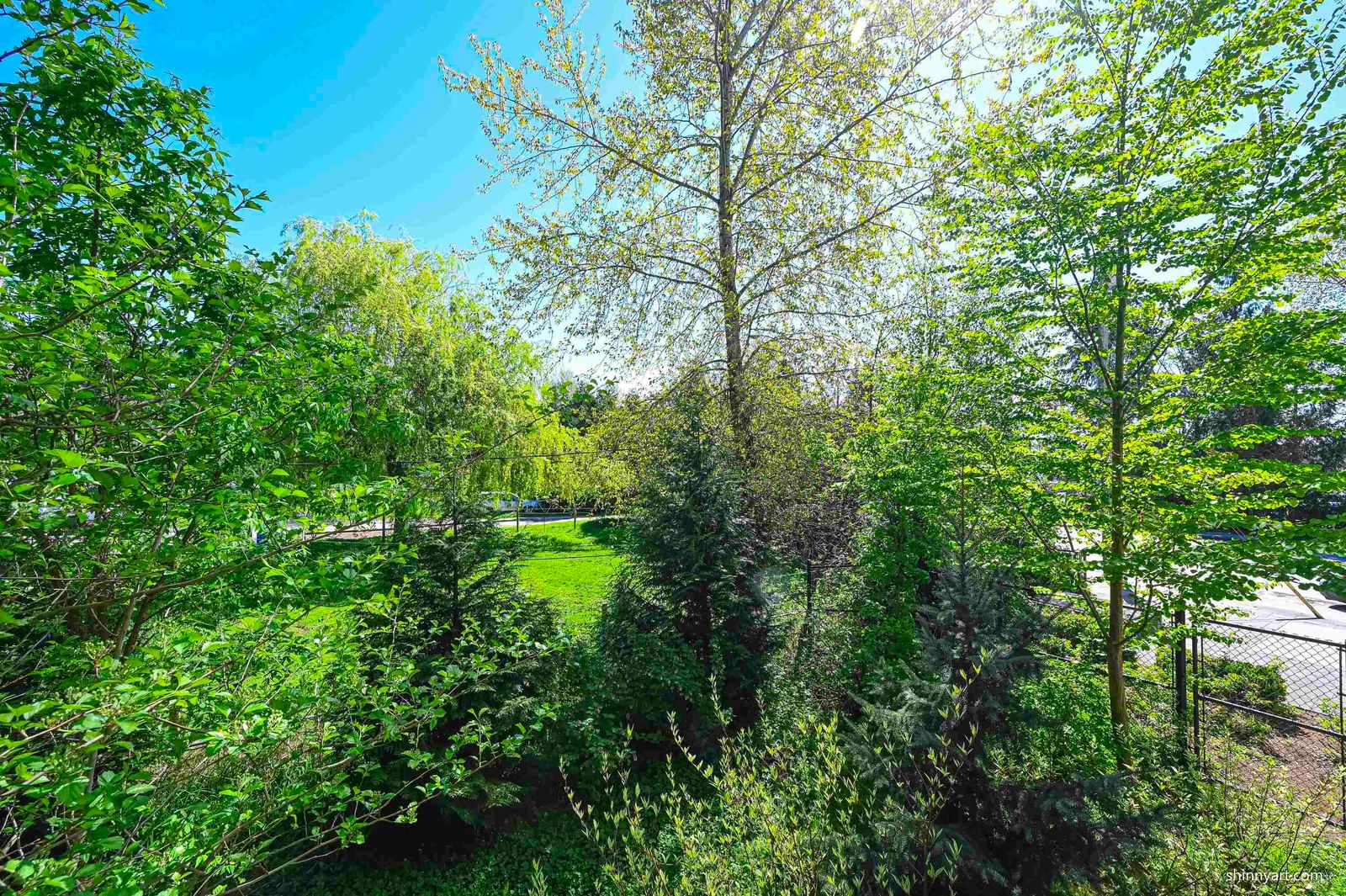 Listing Image 12