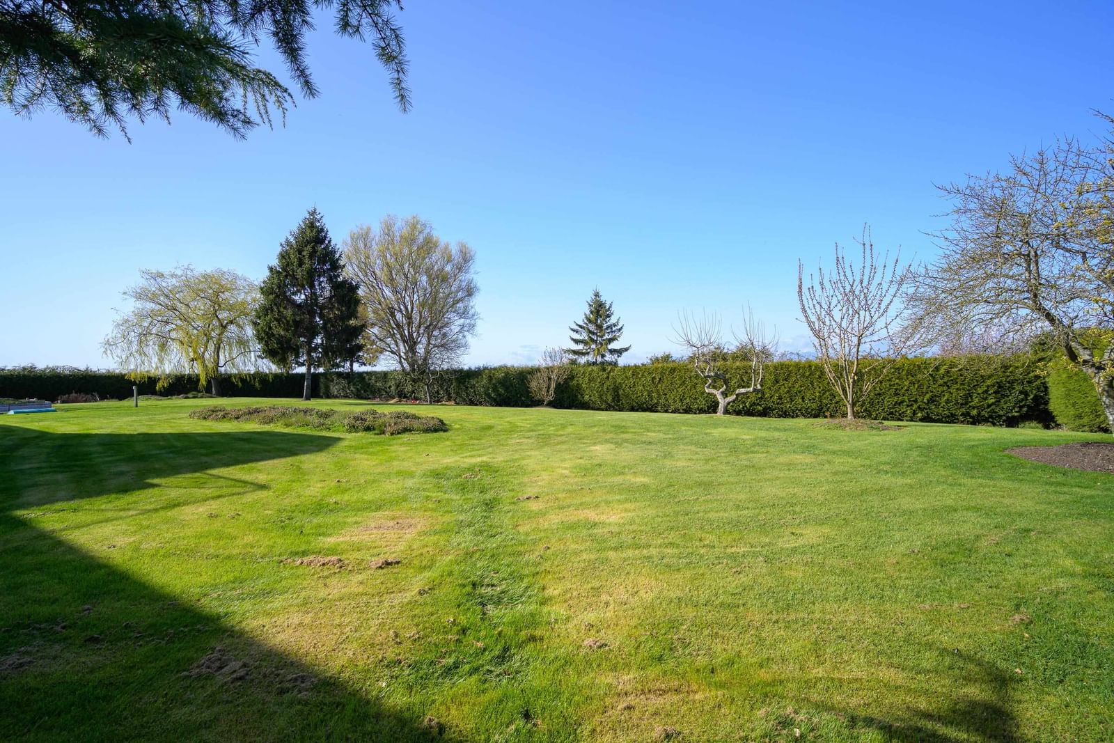 Listing Image 34