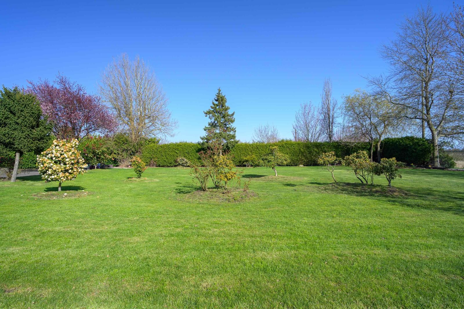 Listing Image 36