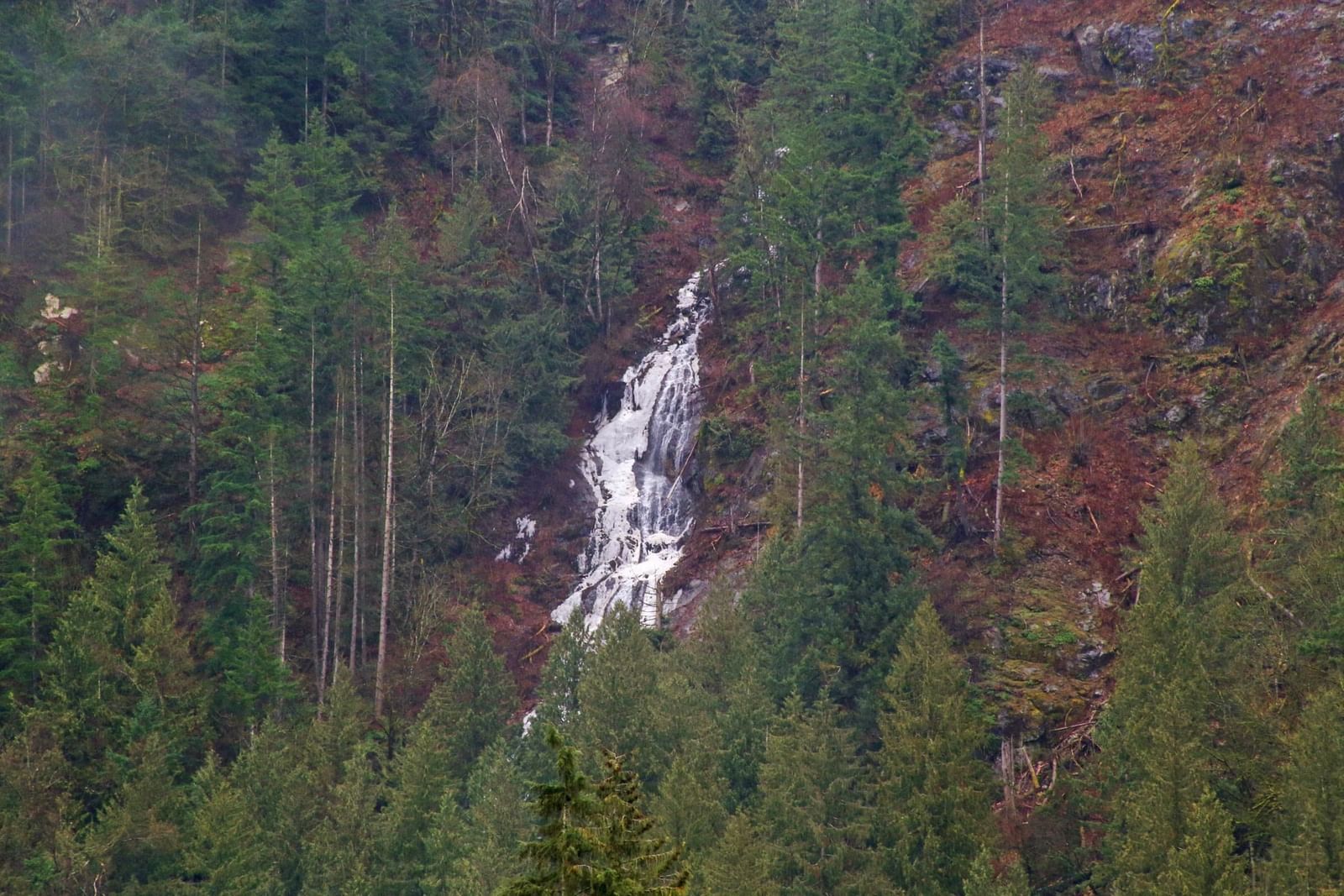 Listing Image 38