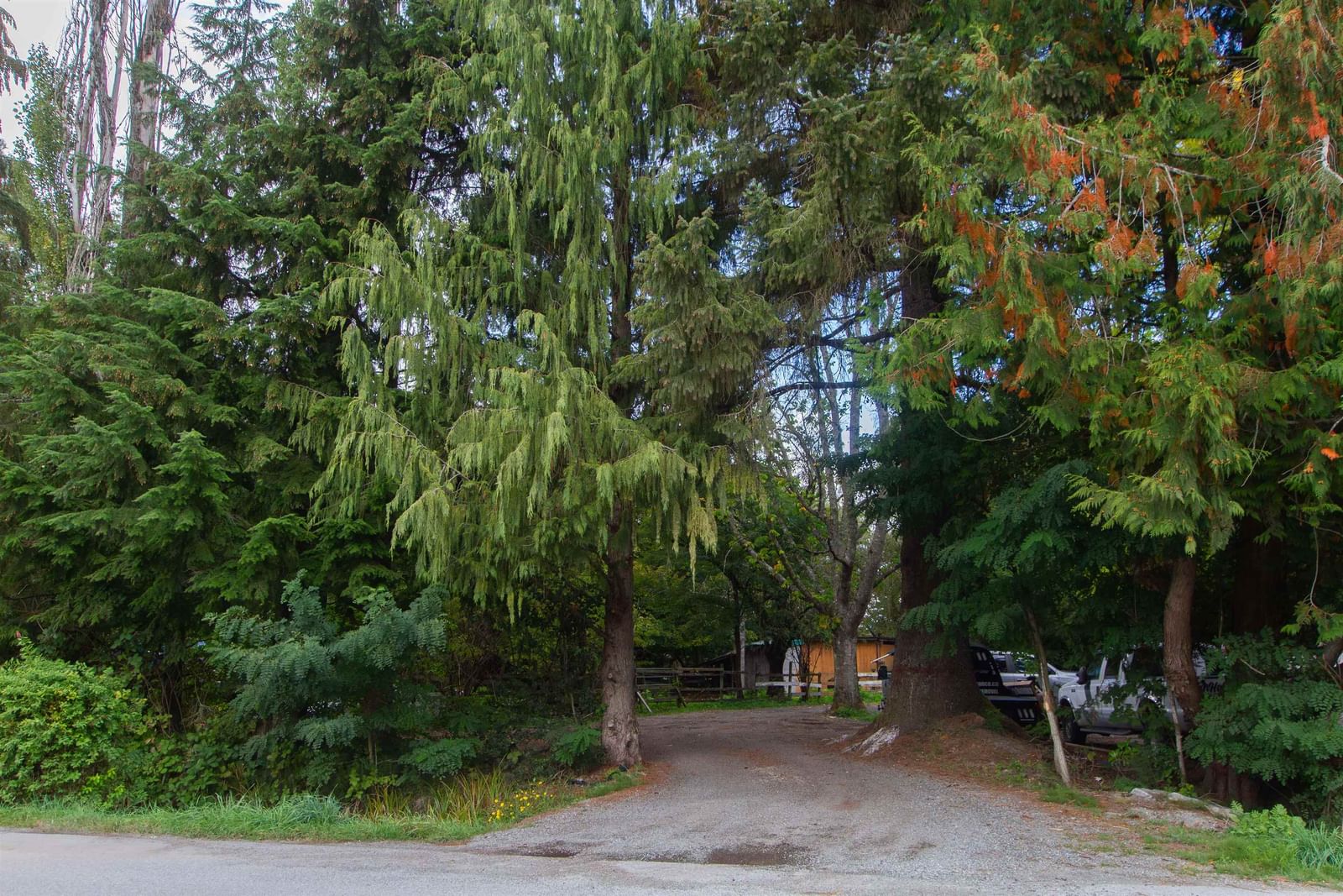 Listing Image 27