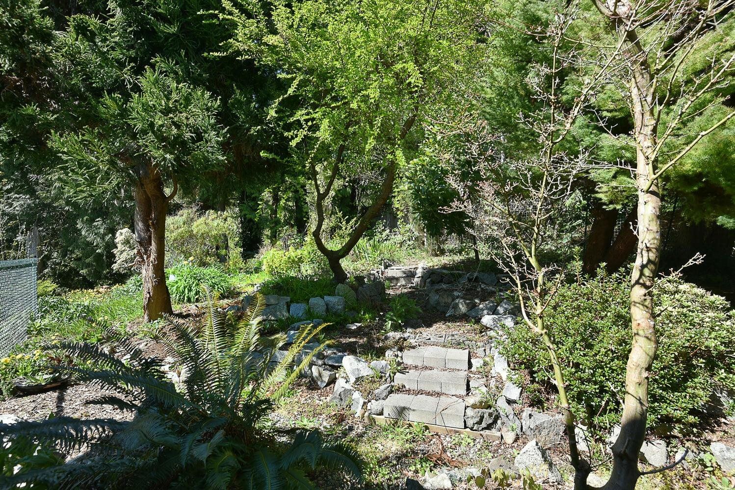 Listing Image 24