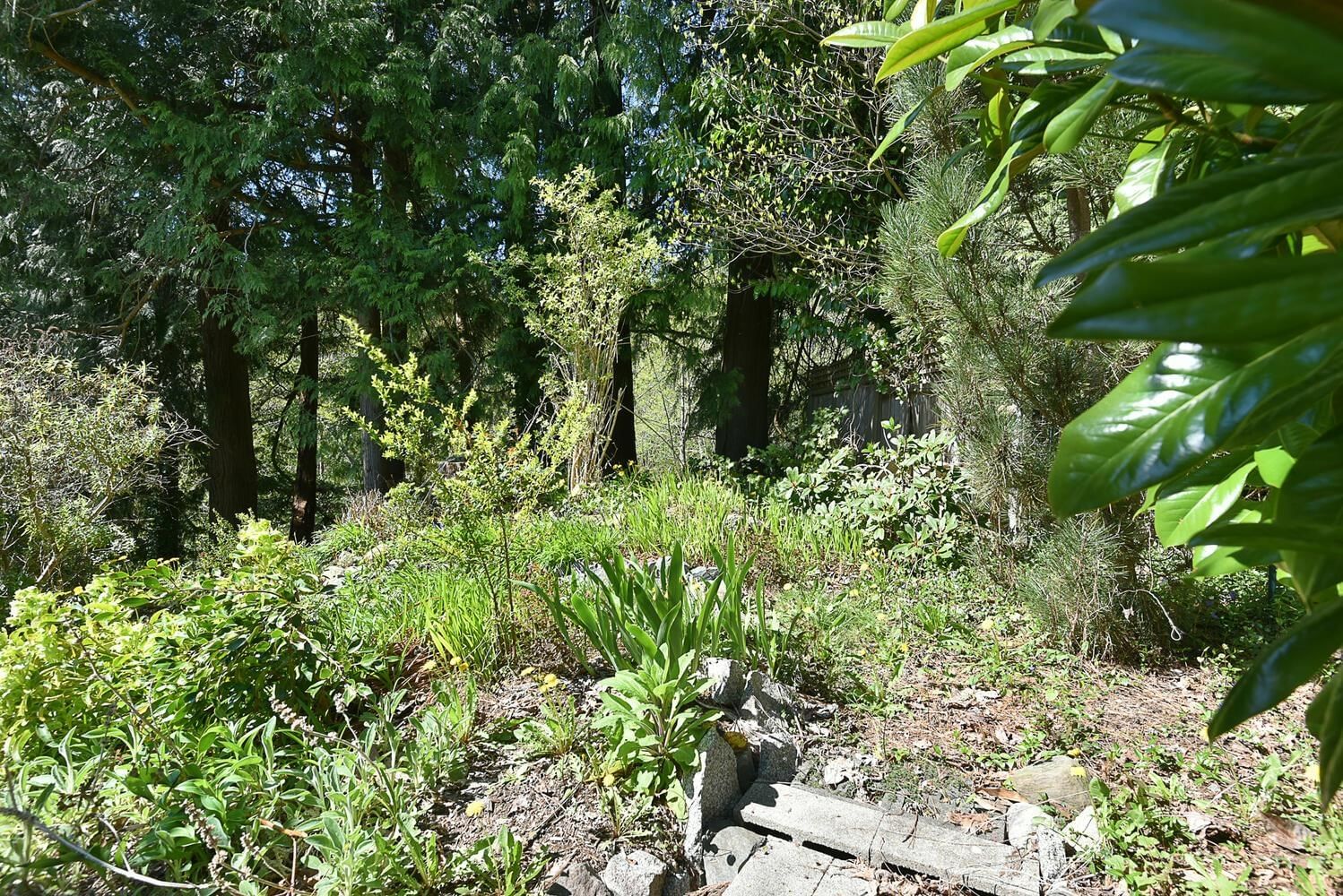 Listing Image 25