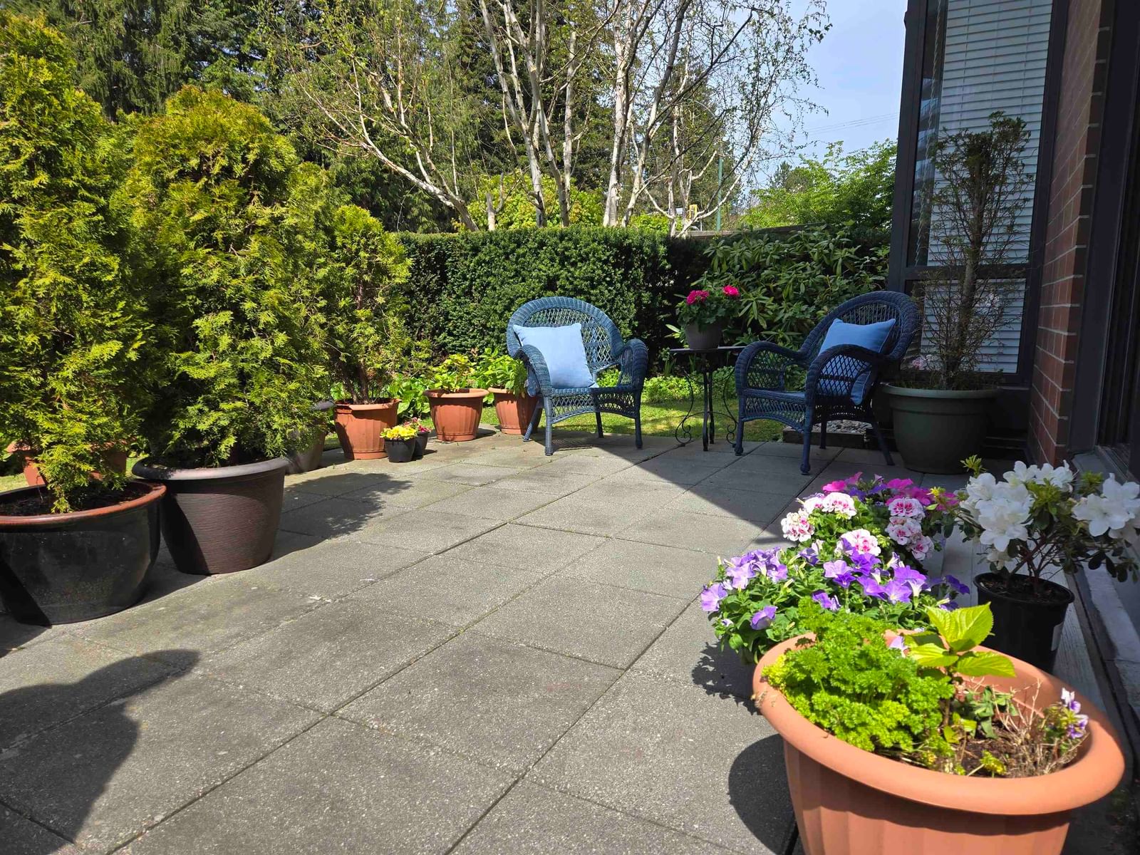 Listing Image 31
