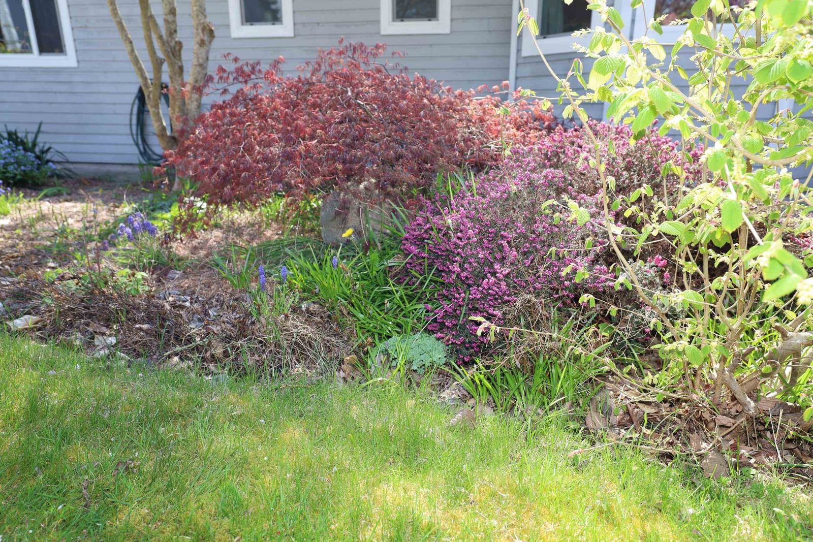 Listing Image 32