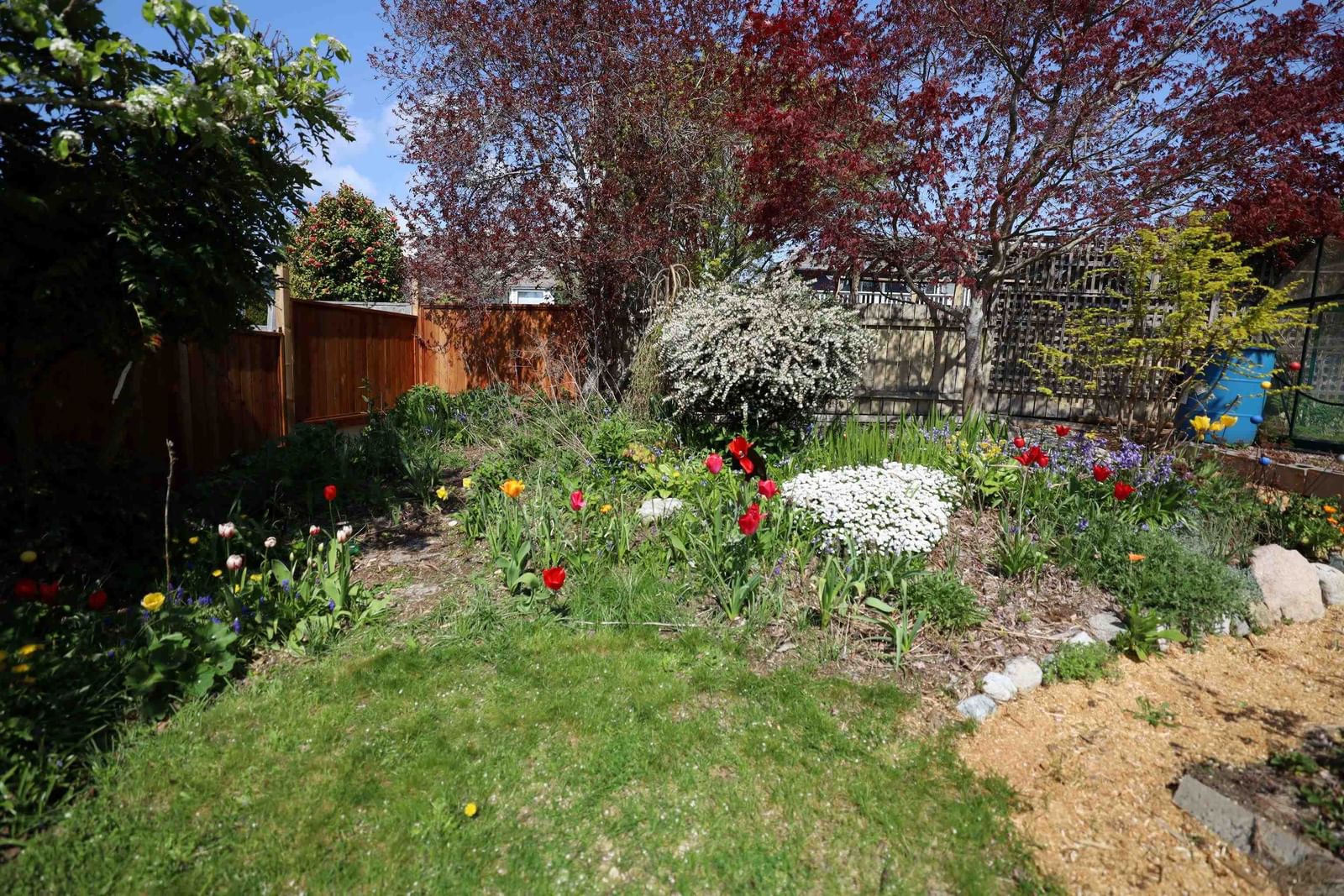 Listing Image 34
