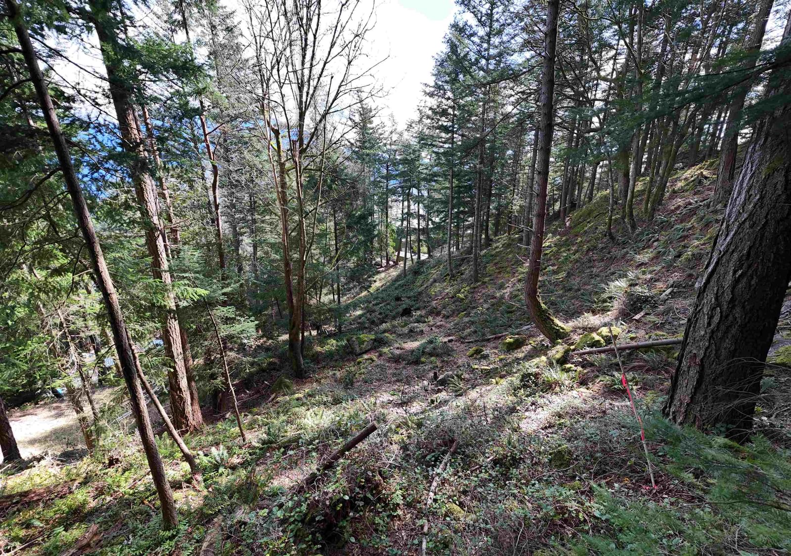 Listing Image 14