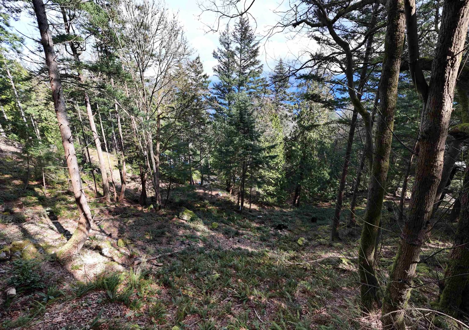 Listing Image 8