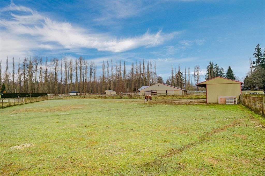Listing Image 16