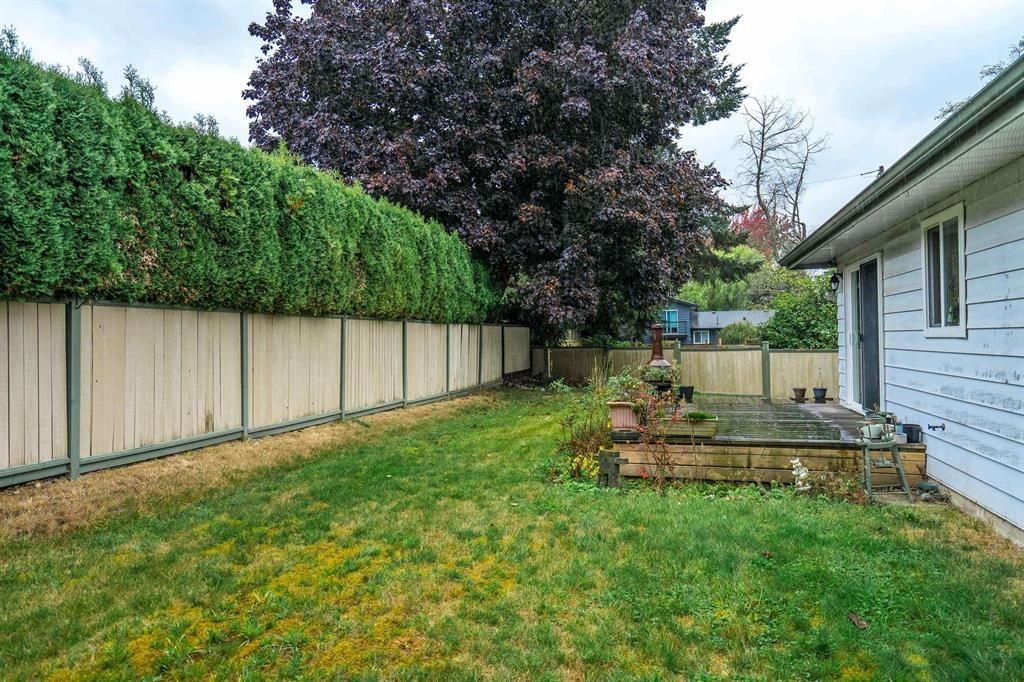 Listing Image 8