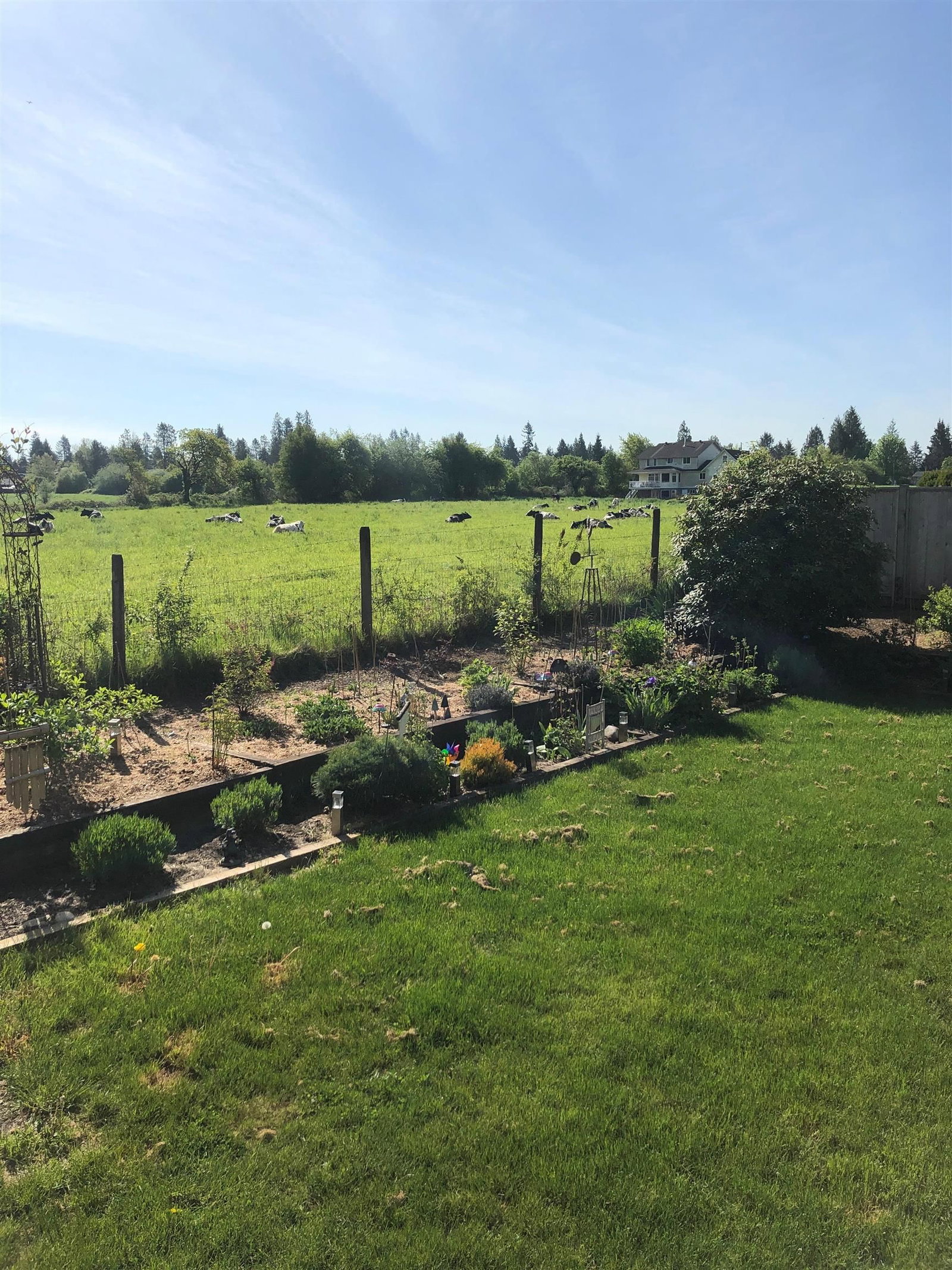 Listing Image 38