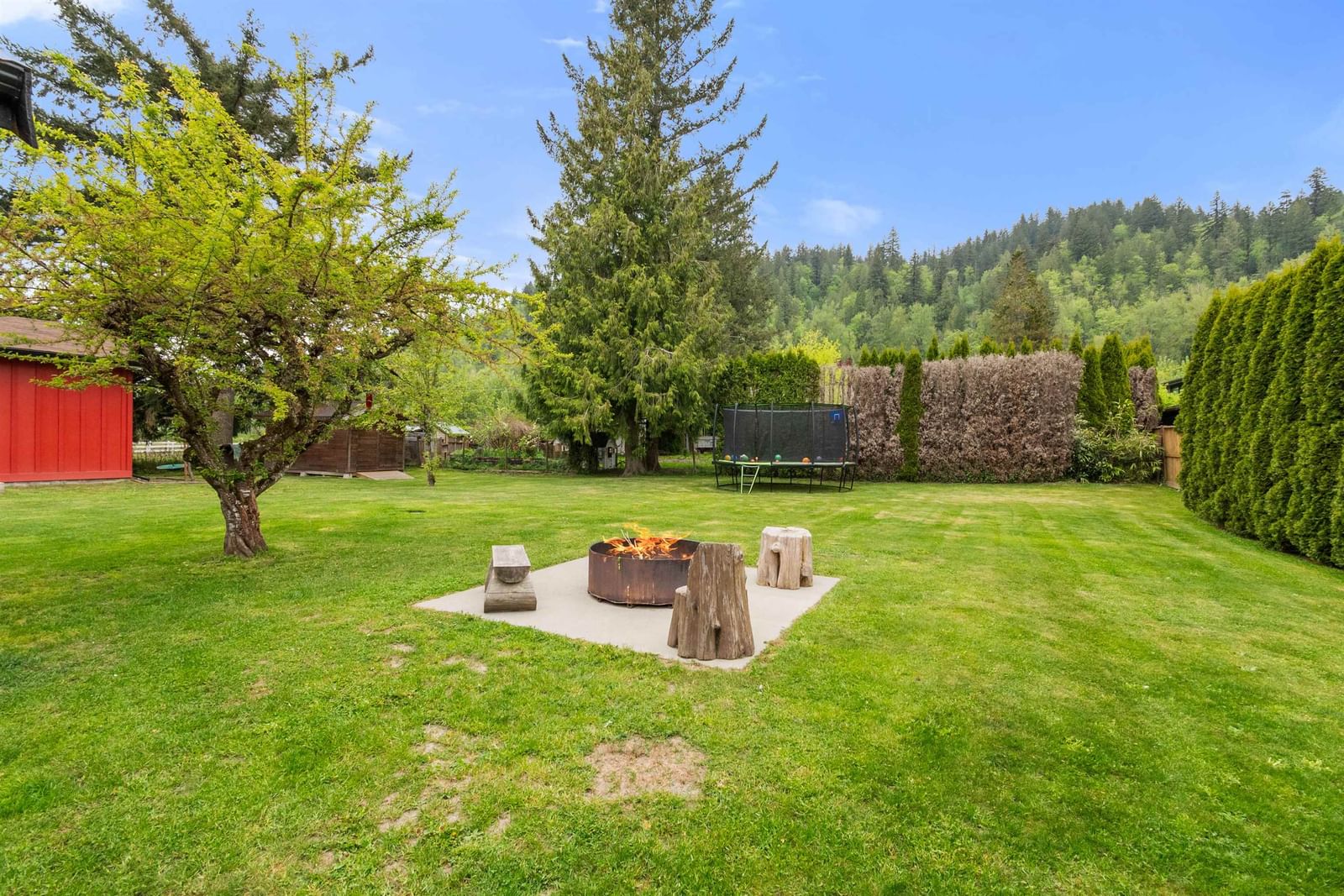 Listing Image 33