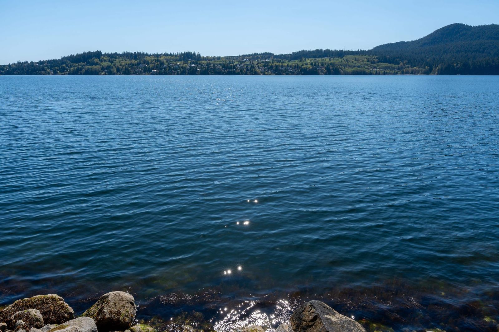 Listing Image 40
