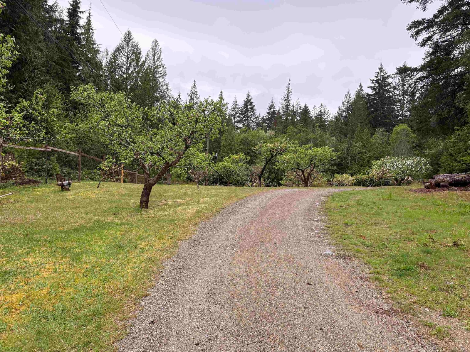 Listing Image 28