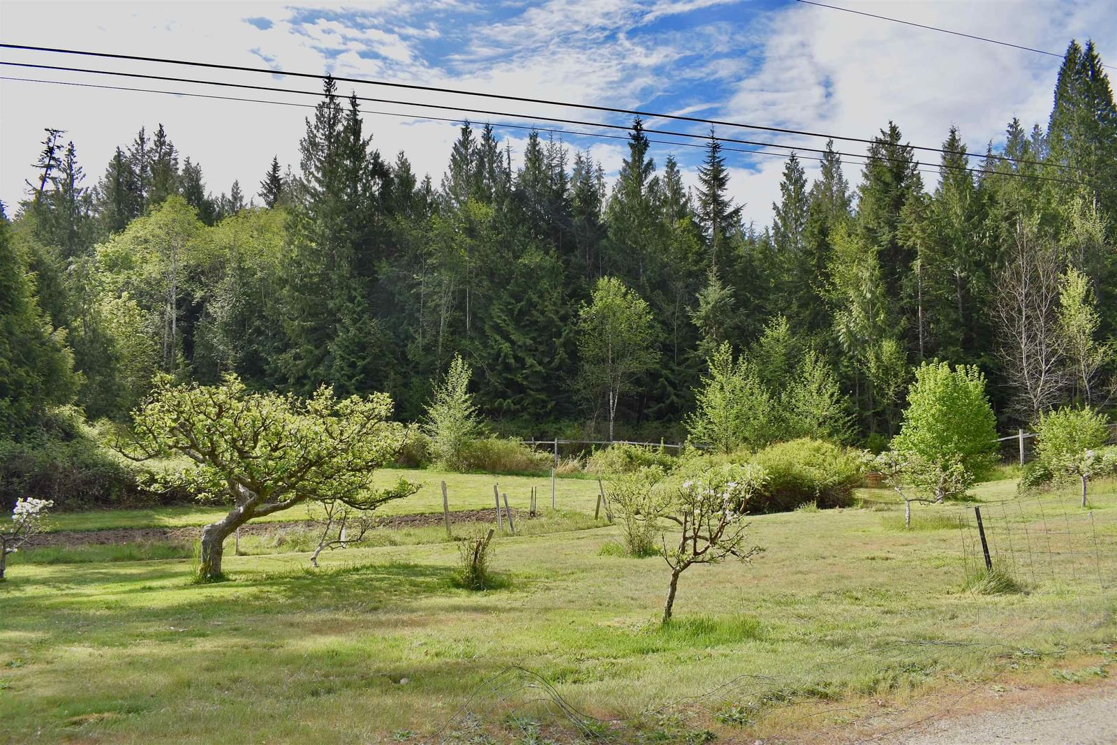 Listing Image 29