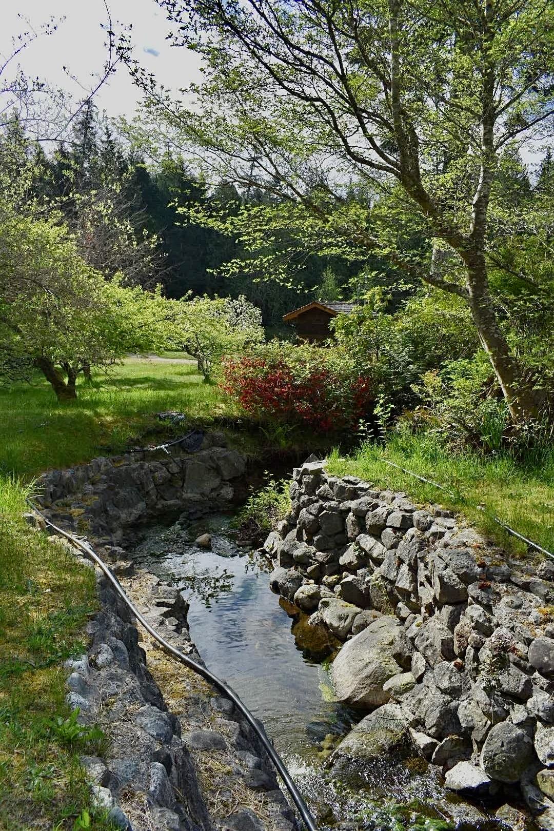 Listing Image 38