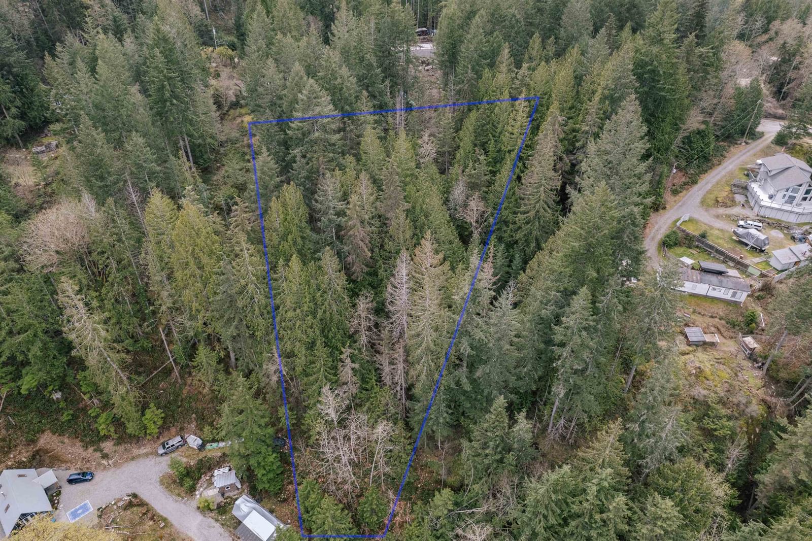 Listing Image 4