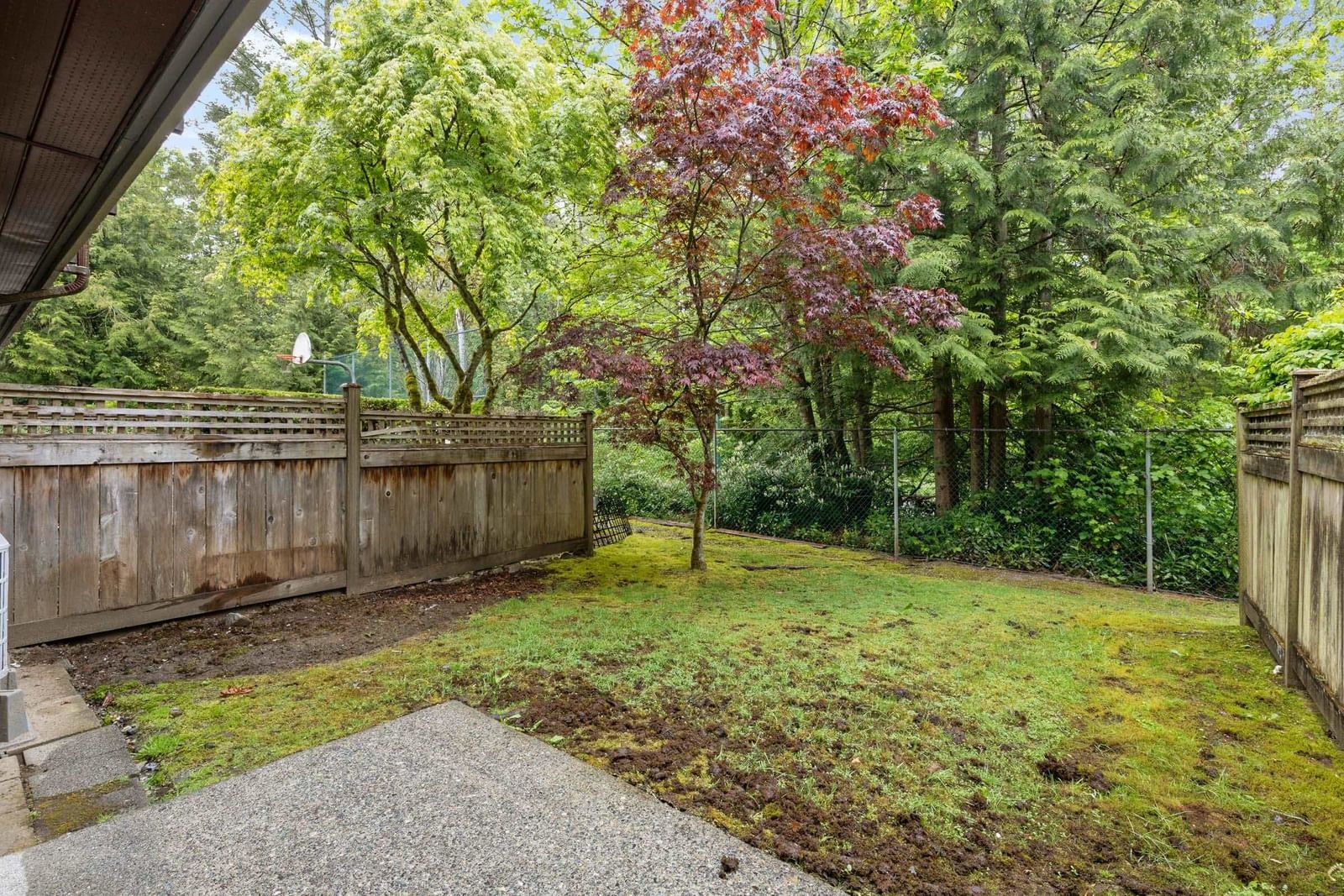 Listing Image 23