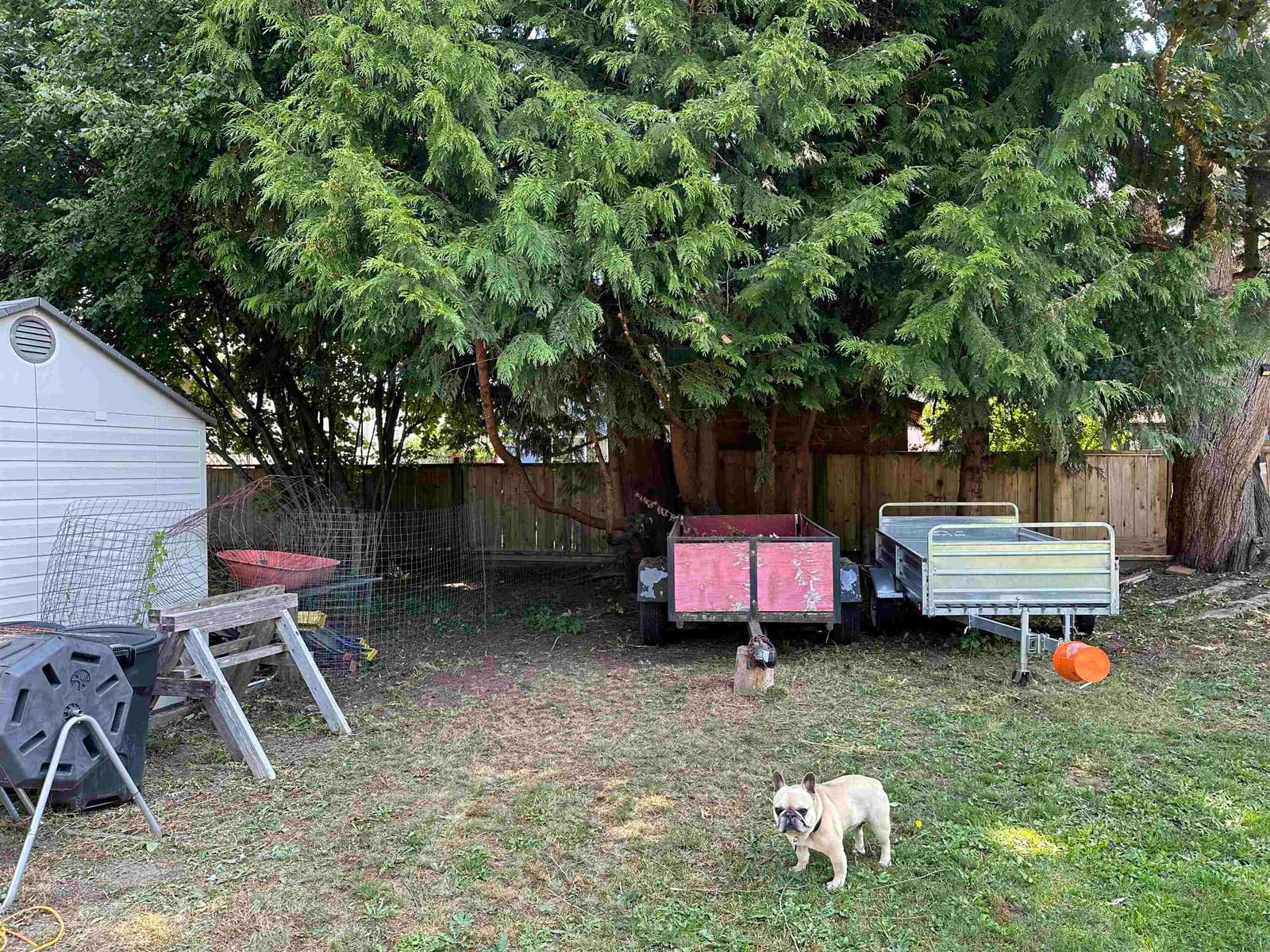 Listing Image 9