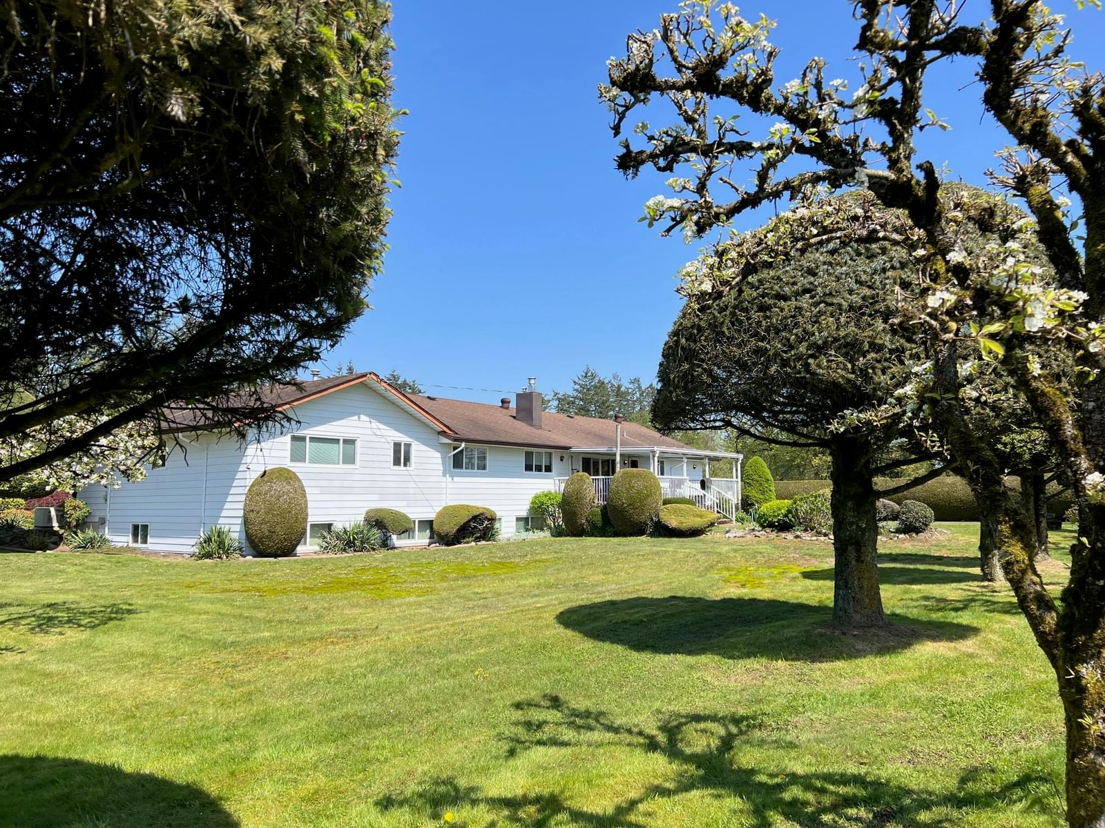 Listing Image 18
