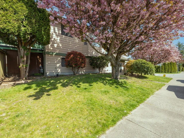 2599 Harrier Drive