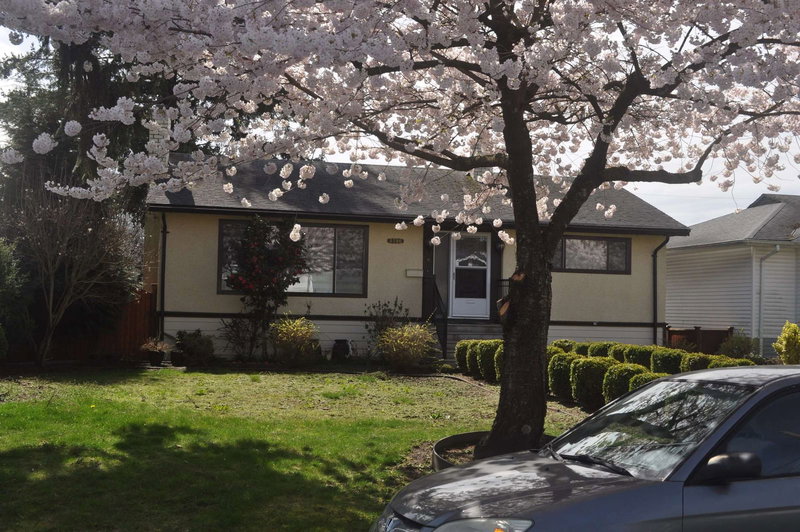 3796 Peter Street, Burnaby, V5J 1N4 | Image 3