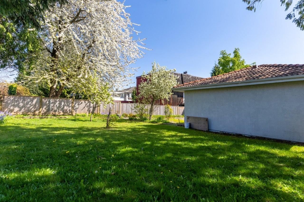 Listing Image 31