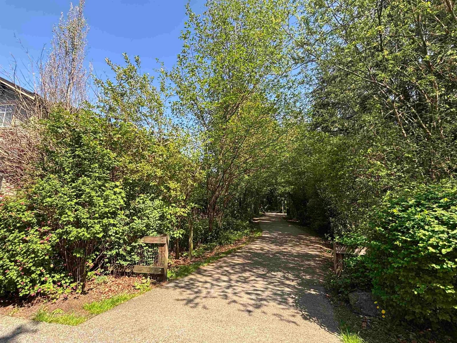 Listing Image 37