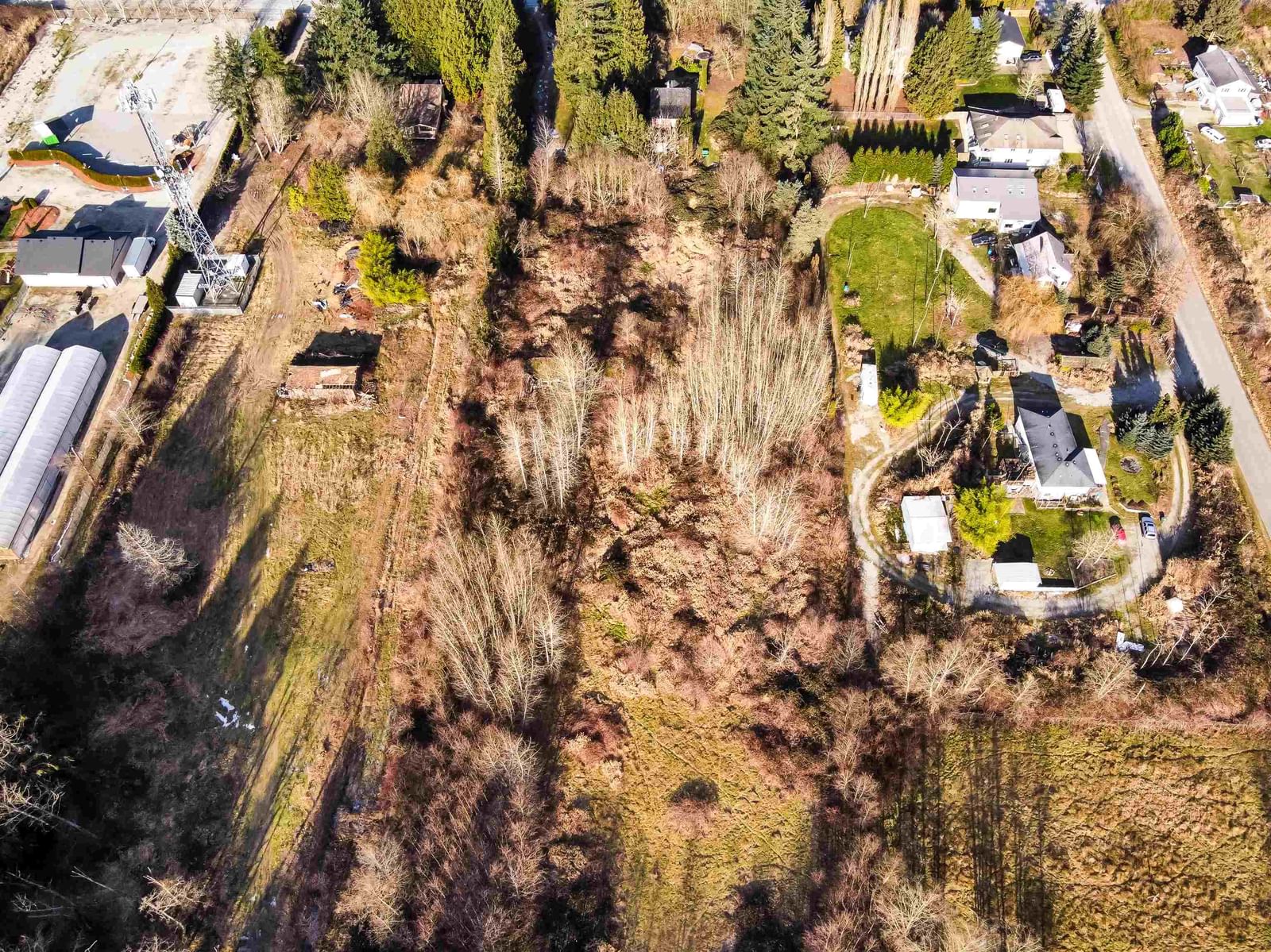 Listing Image 10