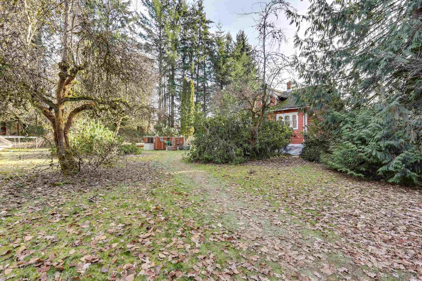 Listing Image 12