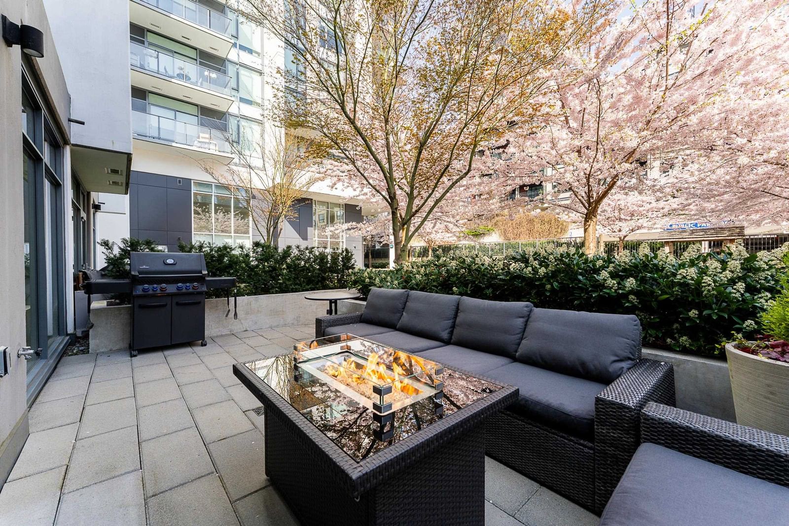 Listing Image 6