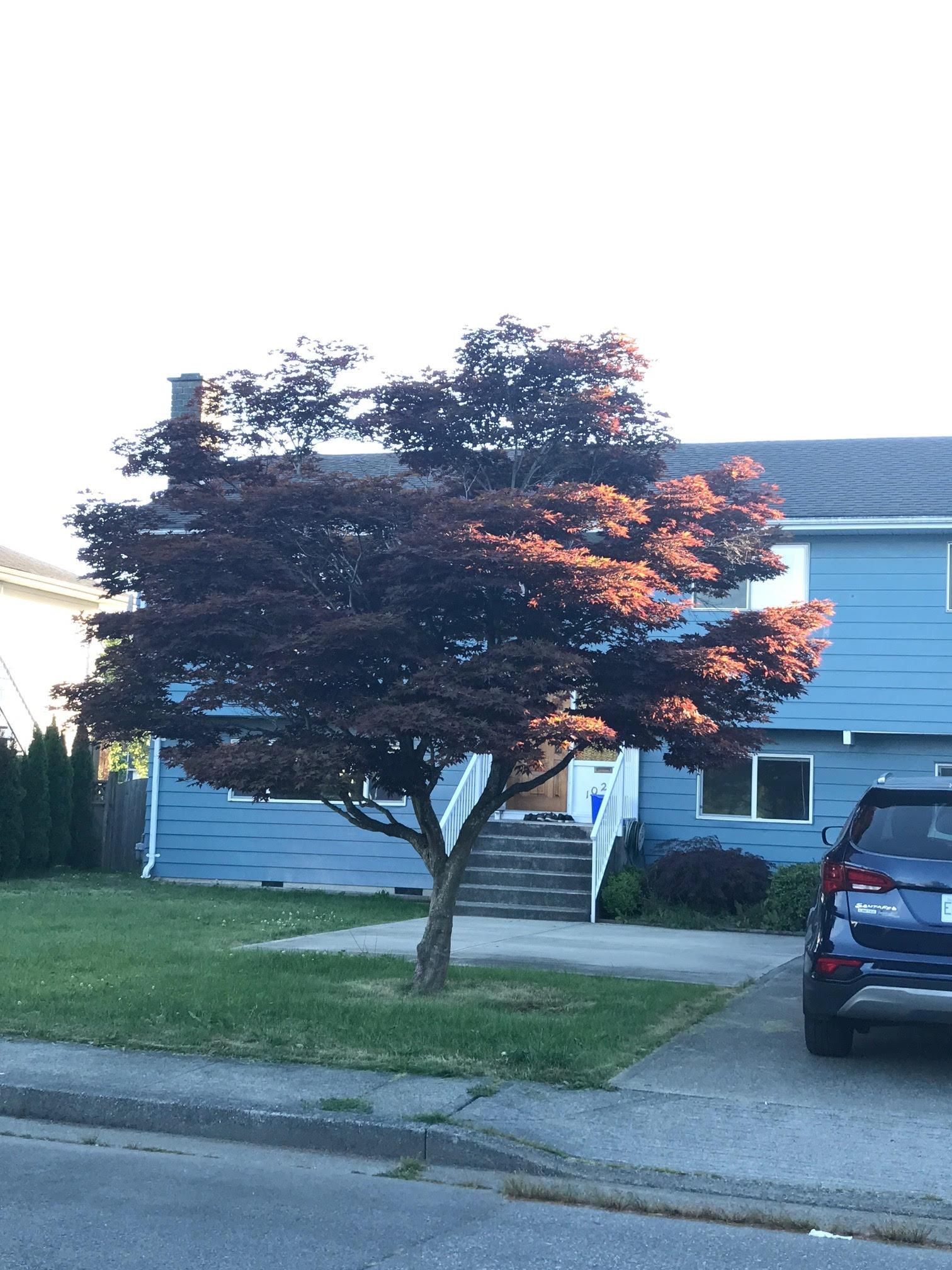 Listing Image 17