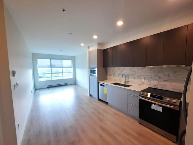 203 - 1792 Starling Drive