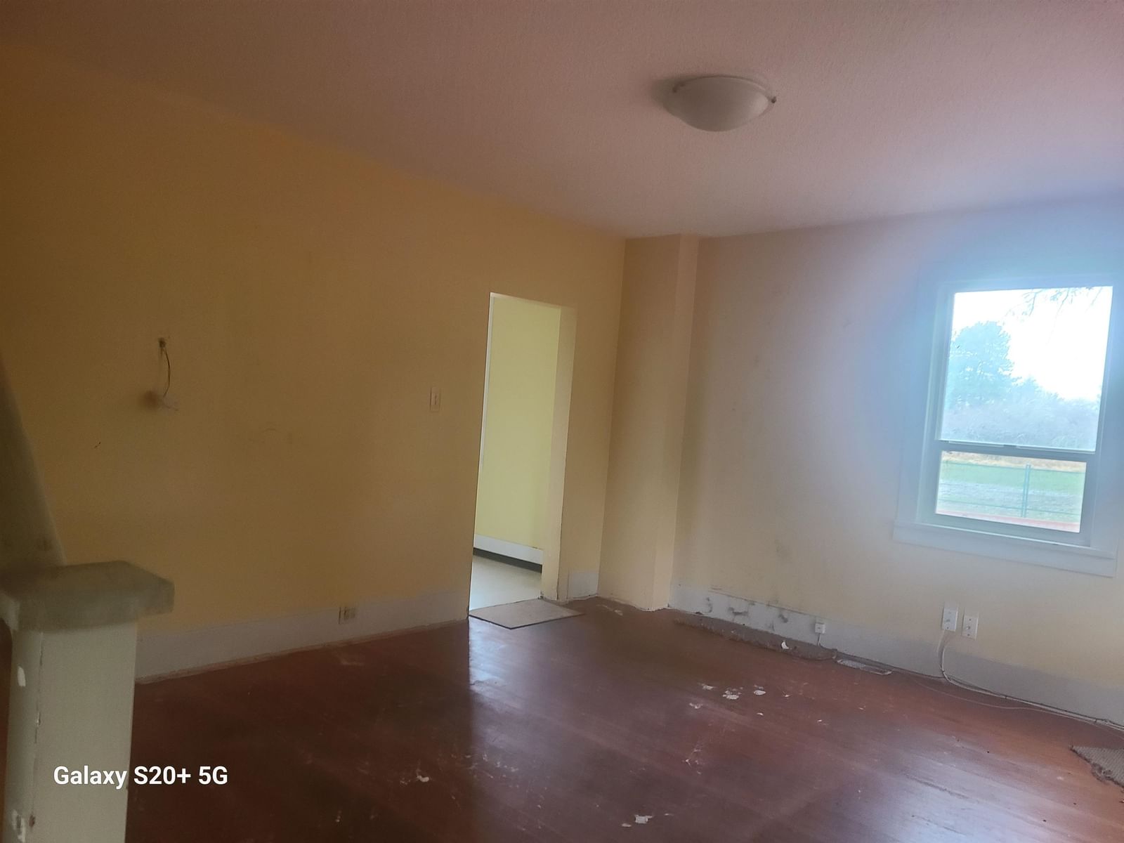 Listing Image 19