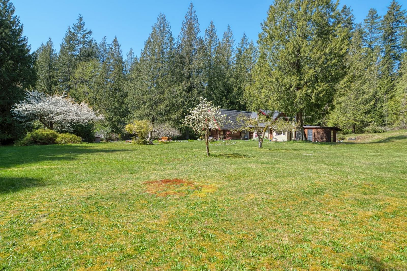 Listing Image 17