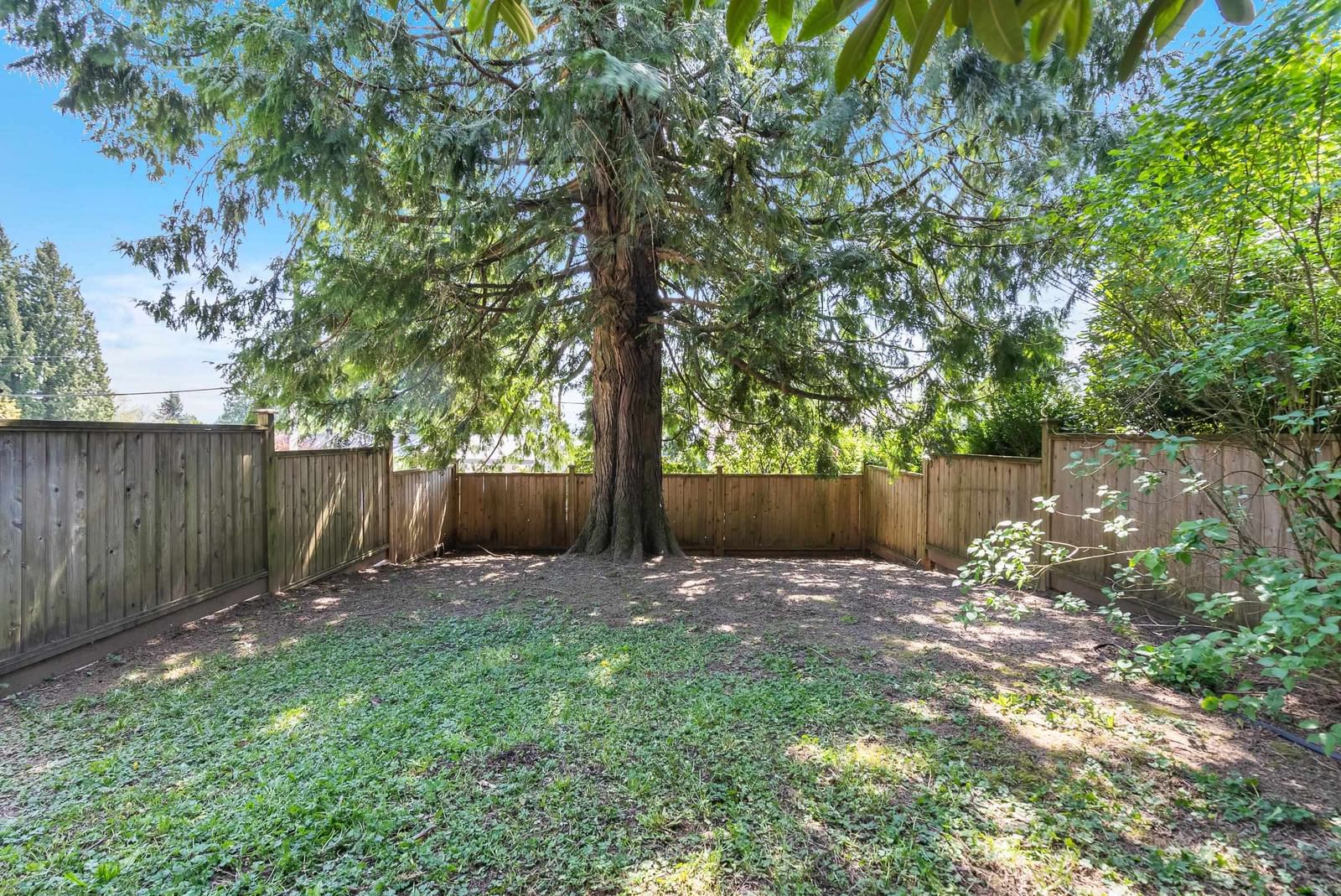Listing Image 39