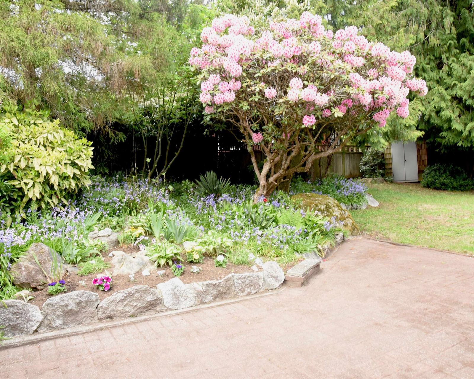Listing Image 37
