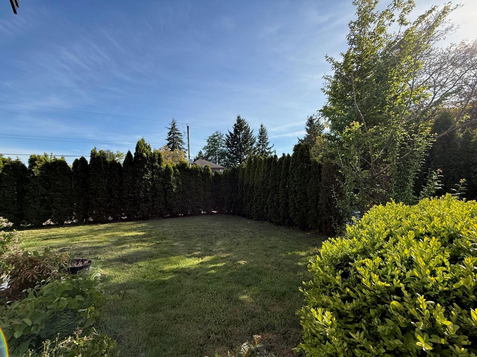 Listing Image 31