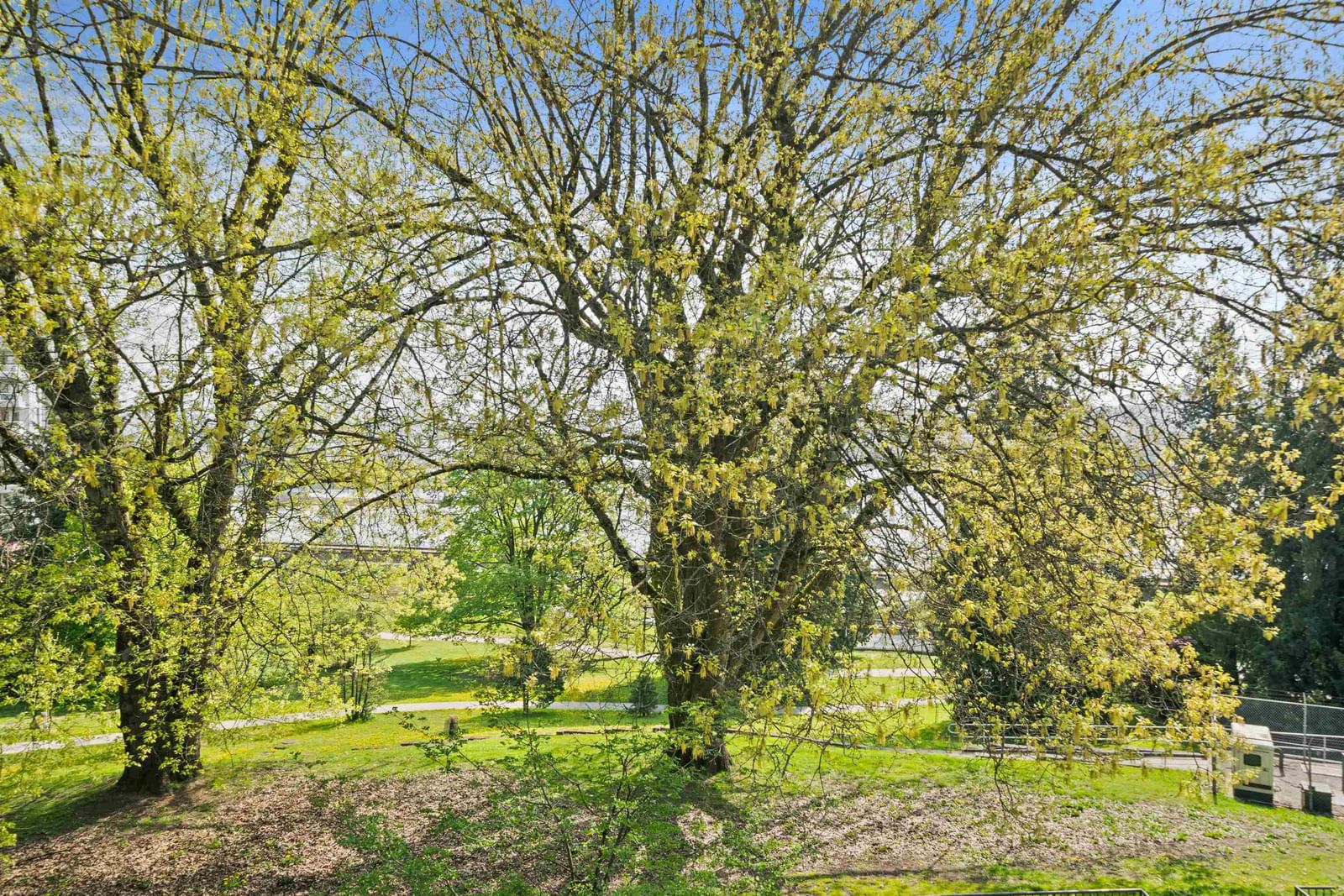 Listing Image 27